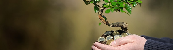 Succesvol beleggen met uw beleggersprofiel