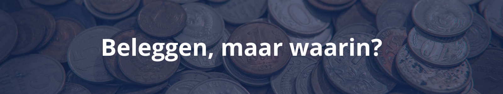 Waarin beleggen?